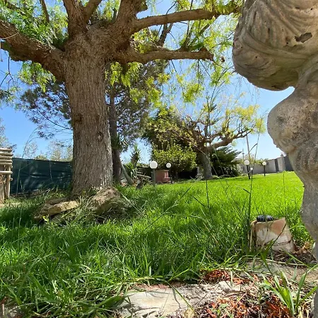 Andrea San Lorenzo *