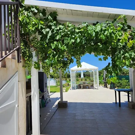 Andrea San Lorenzo *