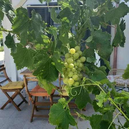 Andrea San Lorenzo * Noto