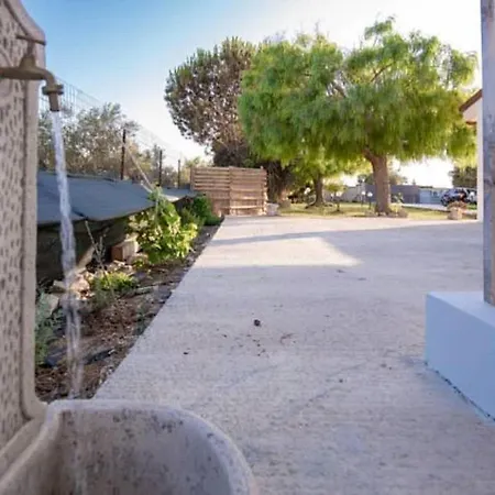 Andrea San Lorenzo *